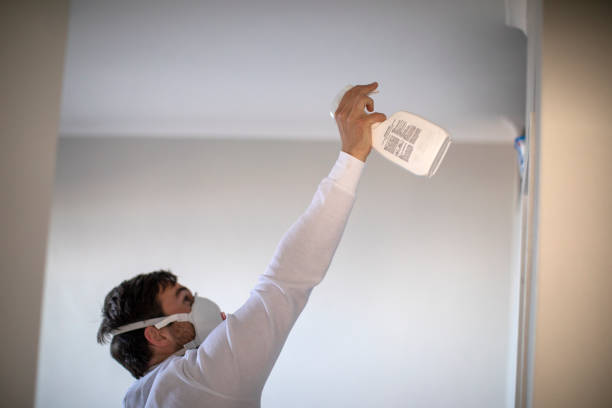 Best Commercial Mold Removal  in Arnold, MD